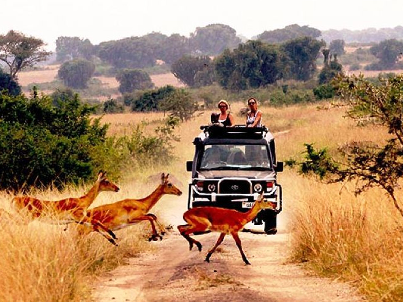 destination